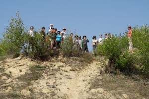 Олешківські піски